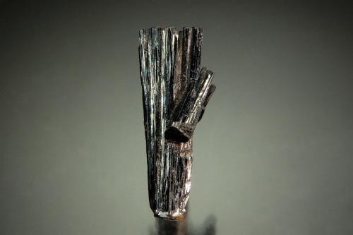 Manganite<br />Ilfeld, Nordhausen, Distrito Nordhausen, Turingia/Thüringen, Alemania<br />2.9 x 1.2 cm<br /> (Author: Michael Shaw)