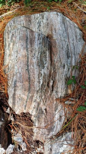 Bloque de granulita en los alrededores del mirador que presenta un bandeado composicional paralelo a la esquistosidad muy marcado y donde pueden observarse bien los granates típicos de estas rocas. (Autor: supertxango)