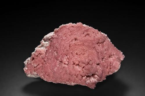 Rhodochrosite<br />Zona minera N'Chwaning, Kuruman, Kalahari manganese field (KMF), Provincia Septentrional del Cabo, Sudáfrica<br />7.0 x 4.2 cm<br /> (Author: am mizunaka)