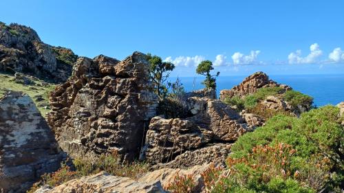 Las formaciones los karst serpentínicos son todo un espectáculo y combinados con la vegetación crean paisajes en miniatura como este. (Autor: supertxango)