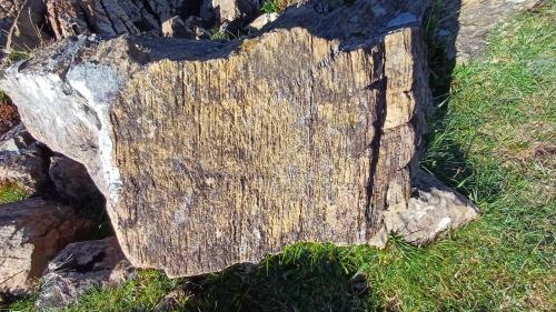 Ejemplo de peridotita meteorizada y erosionada que da lugar a este paisaje de karst serpentínico. (Autor: supertxango)