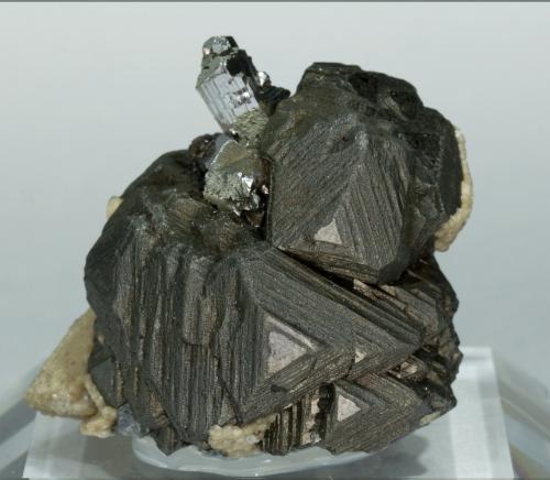 Esfalerita con Calcopirita, Arsenopirita y Siderita<br />Minas da Panasqueira, Aldeia de São Francisco de Assis, Covilhã, Castelo Branco, Cova da Beira, Región Centro, Portugal<br />3.7 × 3.2 × 2.8 cm / el cristal principal mide: 3 × 2.7 cm<br /> (Autor: Jordi Fabre)