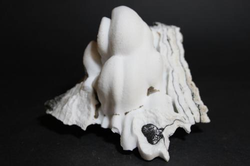 Aragonito<br />Mina Quien Tal Pensara (Mina Rica), El Pilar de Jaravía, Pulpí, Comarca Levante Almeriense, Almería, Andalucía, España<br />85 x 75 mm<br /> (Autor: Joaquin Blanco Cortina)