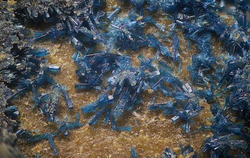 Clinoclasa<br />Mina Ángeles 1ª, Paterna del Campo, Comarca El Condado, Huelva, Andalucía, España<br />Campo de visión de  1 mm.<br /> (Autor: Antonio Carmona)