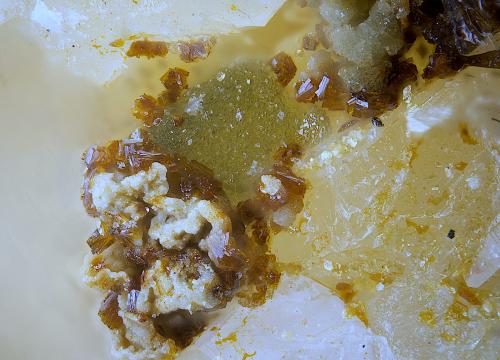 Tooeleita con Preisingerita y escorodita<br />Mina Alcantarilla, Encinilla Baja-Ventosilla, Belalcázar, Comarca Los Pedroches, Córdoba, Andalucía, España<br />Campo de visión de  2 mm.<br /> (Autor: Antonio Carmona)