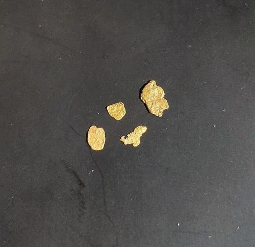 Gold<br />Río Grümpen, Distrito Sonneberg, Turingia/Thüringen, Alemania<br />largest nugget 5 mm<br /> (Author: Tobi)