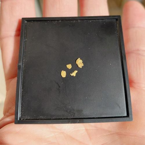 Gold<br />Río Grümpen, Distrito Sonneberg, Turingia/Thüringen, Alemania<br />largest nugget 5 mm<br /> (Author: Tobi)