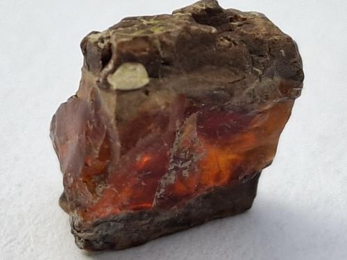 Amber<br />Cuchia, Miengo, Cantabria, Spain<br />1 x 1 cm<br /> (Author: Volkmar Stingl)