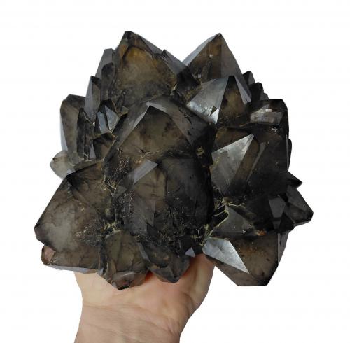 Quartz (variety smoky quartz)<br />Usingen quartzite works, Usingen, Hochtaunuskreis, Darmstadt, Hesse/Hessen, Germany<br />Specimen size 18 x 16 cm, largest crystals 6 cm<br /> (Author: Tobi)