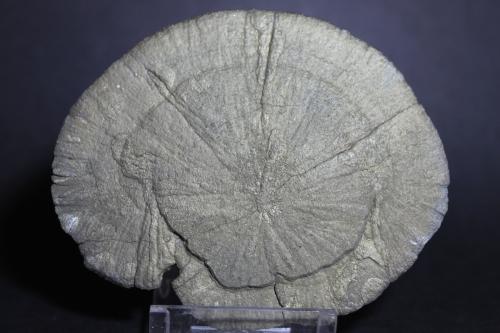 PIRITA<br />Sparta, Condado Randolph, Illinois, USA<br />80 x 65<br /> (Autor: Joaquin Blanco Cortina)