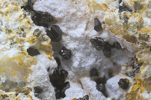 Descloizita<br />Mina San Francisco (antigua mina Pura), Higuera de Llerena, Comarca Campiña Sur, Badajoz, Extremadura, España<br />Campo de visión de  4 mm.<br /> (Autor: Antonio Carmona)