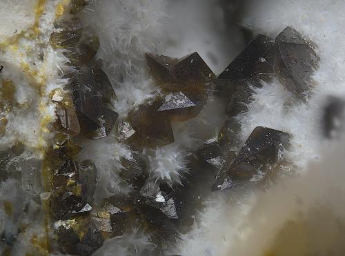 Descloizita<br />Mina San Francisco (antigua mina Pura), Higuera de Llerena, Comarca Campiña Sur, Badajoz, Extremadura, España<br />Campo de visión de  2 mm.<br /> (Autor: Antonio Carmona)