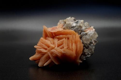 Baryte Cerussite<br />Midelt, Provincia Midelt, Región Drâa-Tafilalet, Marruecos<br />5,5 x 3,5 x 2,7 cm.<br /> (Author: DanovskiM)