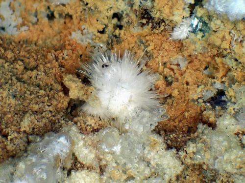 Moraesita<br />Mina Ponte do Piauí, Valle Piauí, Taquaral, Itinga, Vale do Jequitinhonha, Minas Gerais, Brasil<br />Campo de visión 6 mm.<br /> (Autor: Antonio P. López)