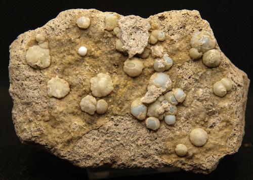 Clinoptilolita y Cuarzo (variedad calcedonia)<br />Volcán Cabezo Negro de Zeneta, Murcia, Comarca Huerta de Murcia, Región de Murcia (Murcia), España<br />10 x 6.5 cm<br /> (Autor: Pedro Antonio)