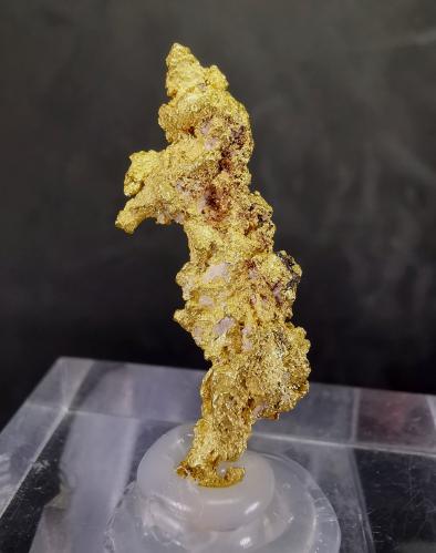 Oro Nativo<br />Región histórica del Triángulo de Oro, Victoria, Australia<br />3.2cm<br /> (Autor: Diego Navarro)