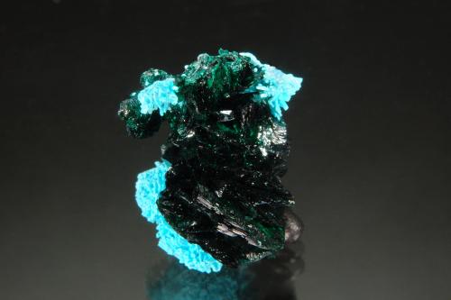 Malachite<br />Mina Mashamba West, Distrito Kolwezi, Lualaba, Cinturón de cobre de Katanga, Katanga (Shaba), República Democrática del Congo (Zaire)<br />2.1 x 1.6<br /> (Author: Michael Shaw)