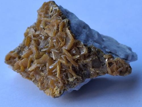 Wulfenite<br />Mina Delle Grigne, Cascina Mugarola, Linzanico, Valle Monastero, Abbadia Lariana, Provincia Lecco, Lombardía/Lombardia, Italia<br />3,7 x 2,5 cm<br /> (Author: Volkmar Stingl)