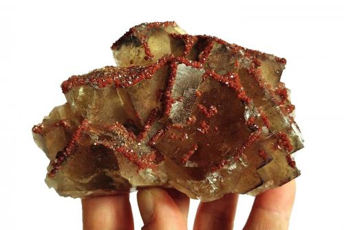 Fluorite, quartz (var. eisenkiesel)<br />Mina Erika, Säulnhof, Stulln, Distrito Wölsendorf Oeste, Alto Palatinado/Oberpfalz, Baviera/Bayern, Alemania<br />Specimen size 11,5  cm, largest fluorite 4 cm<br /> (Author: Tobi)