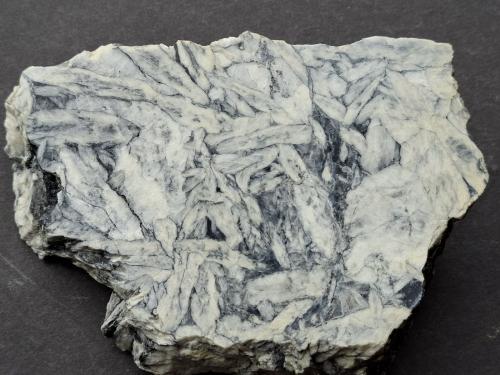 Magnesite (variety Pinolite)<br />Magnesite deposit Tux, Vorderlanersbach, Ziller Valley, Schwaz District, Tyrol/Tirol, Austria<br />12 x 8,5 cm<br /> (Author: Volkmar Stingl)