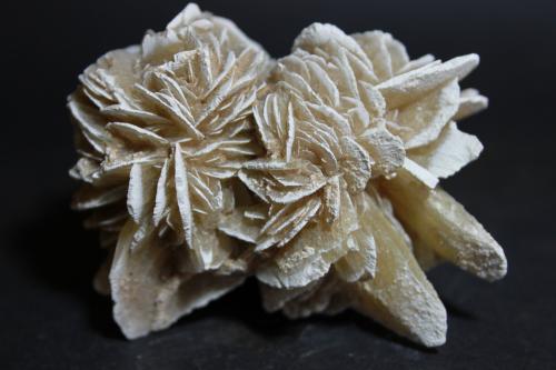 Yeso<br />Desierto Chihuahuense, Samalayuca, Municipio Juárez, Chihuahua, México<br />80 x 60 mm<br /> (Autor: Joaquin Blanco Cortina)