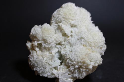 Prehnita<br />Cantera Colada de Ávila, Lebrija, Comarca Marismas del Bajo Guadalquivir, Sevilla, Andalucía, España<br />130 x 90 mm<br /> (Autor: Joaquin Blanco Cortina)