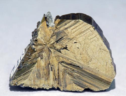 Cubanita<br />Mina Henderson No. 2, Chibougamau, Nord-du-Québec, Québec, Canadá<br />1.9 × 1.6 × 0.4 cm<br /> (Autor: Jordi Fabre)