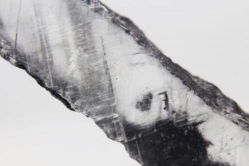 Proustita incluida en Yeso<br />Mina La Platosa, Bermejillo, Municipio Mapimí, Durango, México<br />115x20x23 mm.<br /> (Autor: Luis Edmundo Sánchez Roja)