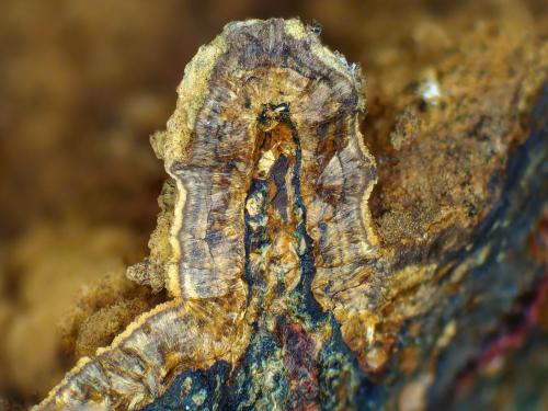 Kapundaíta<br />Cantera Tom's, Kapunda, Cordilleras Monte Lofty Norte, Australia Meridional, Australia<br />Campo de visión 6 mm.<br /> (Autor: Antonio P. López)