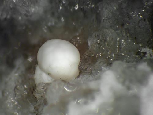 Dresserita<br />Cantera Francon, Montréal, Distrito St. Michel, Condado Jacques Cartier, Québec, Canadá<br />Esfera de 1 mm.<br /> (Autor: Antonio P. López)