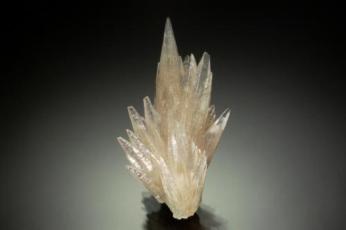 Calcite<br />Depósitos de Calcita, Provincia Đắk Lắk, Región Tierras Altas Centrales, Vietnam<br />4.9 x 2.6 x 2.4 cm<br /> (Author: Michael Shaw)