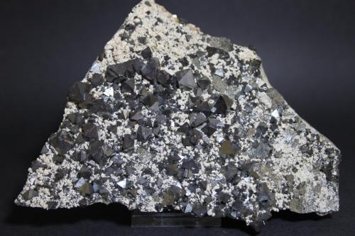 Magnetita<br />Mina El Dragón, Provincia Antonio Quijarro, Departamento Potosí, Bolivia<br />120 x 120 mm<br /> (Autor: Joaquin Blanco Cortina)