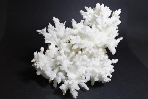 Aragonito<br />Canteras de Mármol, Macael, Comarca Valle del Almanzora, Almería, Andalucía, España<br />110 x 100 mm<br /> (Autor: Joaquin Blanco Cortina)