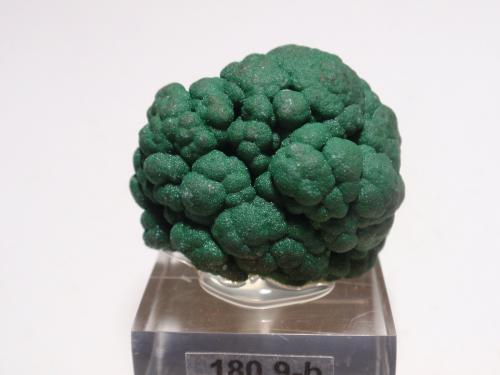 Malaquita<br />República Democrática del Congo (Zaire)<br />30x25 mm<br /> (Autor: Ignacio)