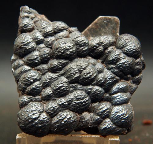 Goethita<br />Marruecos<br />5 X 5 CM<br /> (Autor: Pedro Antonio)