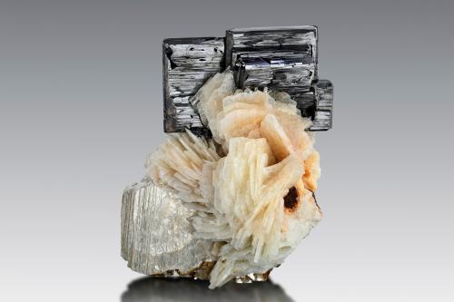 Tantalite-(Fe) on Albite and with Muscovite<br />Pegmatita Dara-i-Pech, Distrito Chapa Dara, Provincia Kunar (Konar), Afganistán<br />6 x 5 x 6.5 cm / main crystal: 5 cm<br /> (Author: MIM Museum)