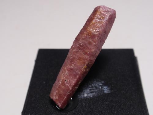 Corindon (Var Rubi)<br />Distrito Mysore, Karnataka, India<br /><br /> (Autor: Ignacio)