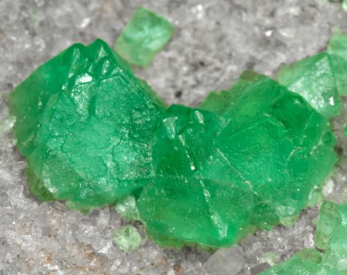 Fluorita (octaédrica)<br />Pedrera Berta, Turó Can Domènech, Serra Roques Blanques, Sant Cugat del Vallès-El Papiol, Comarca Vallès Occidental / Baix Llobregat, Barcelona, Cataluña / Catalunya, España<br />cristal principal: 0.9 × 0.8 cm<br /> (Autor: Jordi Fabre)