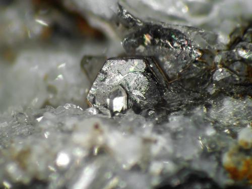 Moscovita<br />Glaciar Wanni, Scherbadung (Monte Cervandone), Valle Kriegalp, Valle Binn (Binntal), Wallis (Valais), Suiza<br />Cristal de 2 mm.<br /> (Autor: Antonio P. López)