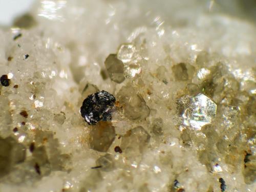 Cervandonita-(Ce), Moscovita<br />Glaciar Wanni, Scherbadung (Monte Cervandone), Valle Kriegalp, Valle Binn (Binntal), Wallis (Valais), Suiza<br />Cristal de 1 mm.<br /> (Autor: Antonio P. López)