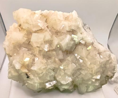 Dolomita<br />Cantera Azcárate (Azkarate), Eugui, Esteríbar, Comarca Auñamendi, Comunidad Foral de Navarra (Navarra), España<br />17x13 cm<br /> (Autor: AntonioJesus)