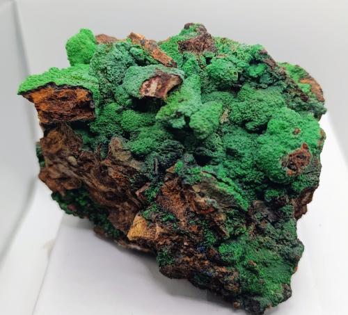 Conicalcita.<br />Calicata Dolores, Pastrana, Mazarrón / Águilas, Comarca Alto Guadalentín, Región de Murcia (Murcia), España<br />12x9 cm<br /> (Autor: AntonioJesus)