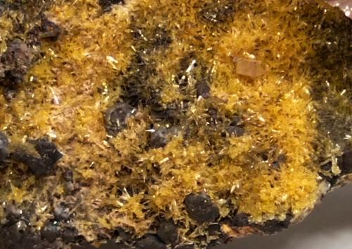 Mimetita<br />Mina Ojuela, Mapimí, Municipio Mapimí, Durango, México<br />70x40x40 mm.<br /> (Autor: Luis Edmundo Sánchez Roja)