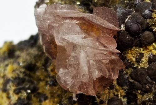 Adamita (variedad Mn-dominante)<br />Mina Ojuela, Mapimí, Municipio Mapimí, Durango, México<br />70x40x40 mm.<br /> (Autor: Luis Edmundo Sánchez Roja)