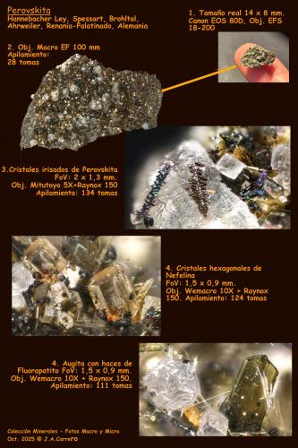 Perovskita<br />Afloramiento volcánico Hannebacher Ley, Hannebach, Spessart, Distrito Brohltal, Comarca Ahrweiler, Renania-Palatinado/Rheinland-Pfalz, Alemania<br /><br /> (Autor: Jose Angel Carrero)