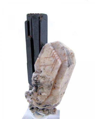 Aegirine, orthoclase
Mount Malosa, Zomba Plateau, Malawi
105 mm x 40 mm (Author: Carles Millan)