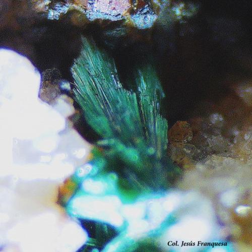 Malaquita.<br />Minas de la Estremera, Pla de les Barraques, Planoles, Comarca Ripollés, Gerona / Girona, Cataluña / Catalunya, España<br />Fvo4<br /> (Autor: Jesus Franquesa Baucells)