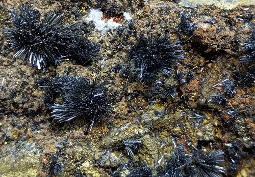 Estibina<br />Mina Sabinas, San Martín, Distrito San Martín-Sabinas, Municipio Sombrerete, Zacatecas, México<br />90x40x50 mm.<br /> (Autor: Luis Edmundo Sánchez Roja)