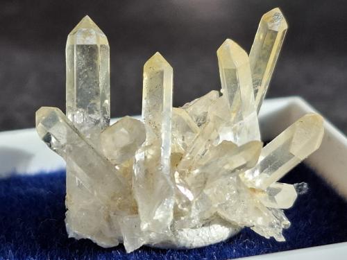 Quartz (variety rock crystal)<br />Oberdorf an der Laming, Angerer adit, Laming Valley, Bruck an der Mur, Bruck-Mürzzuschlag District, Styria/Steiermark, Austria<br />2,5 x 1,5 cm<br /> (Author: Volkmar Stingl)