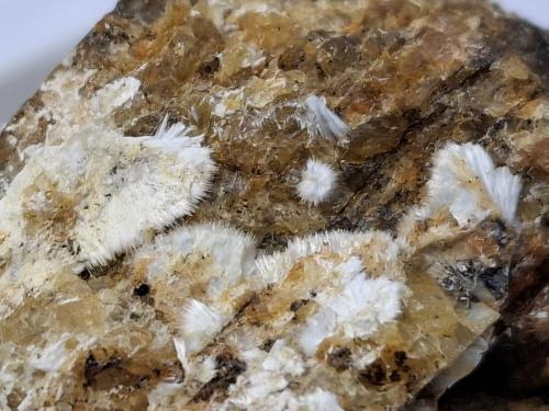 Uralolite, Moraesite<br />Almerindo Mine, Linópolis, Divino das Laranjeiras, Vale do Rio Doce, Minas Gerais, Brazil<br />3 x 2,5 cm<br /> (Author: Volkmar Stingl)